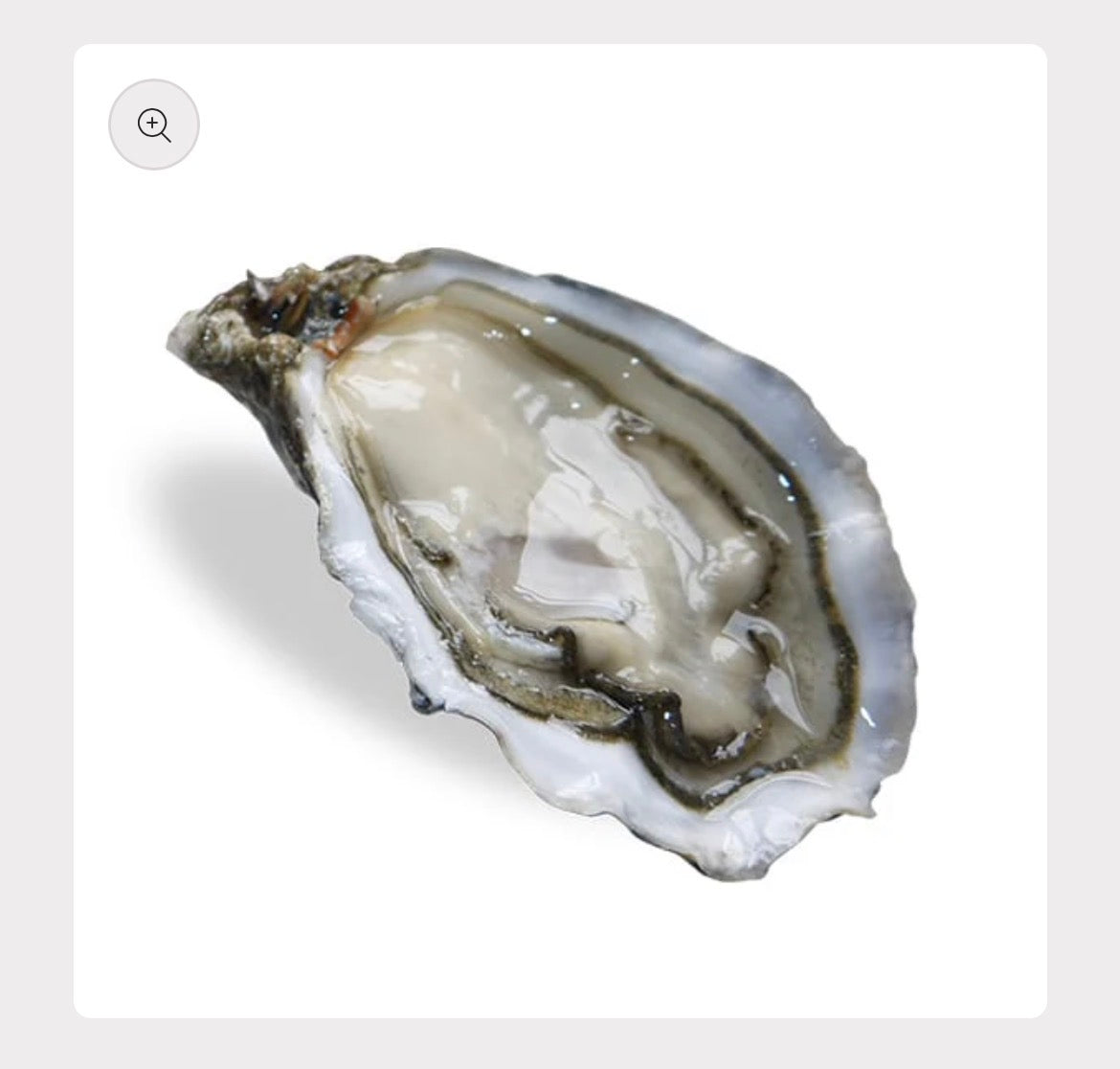 Spéciale de Claire Oysters Nr3 | 12 pcs Box