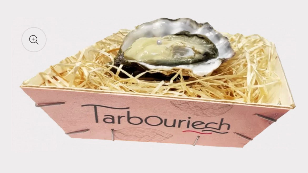 Tarbouriech |Speciale Perlière Nr3 | 1 pc Box