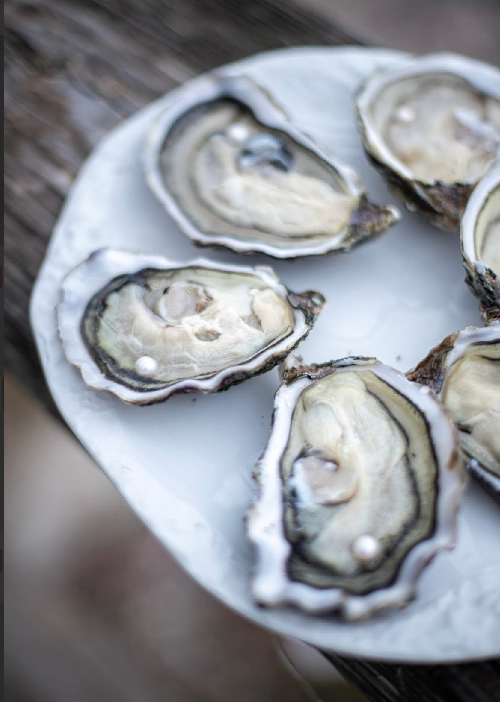 Tarbouriech |Speciale Perlière Nr3 | 1 pc Box