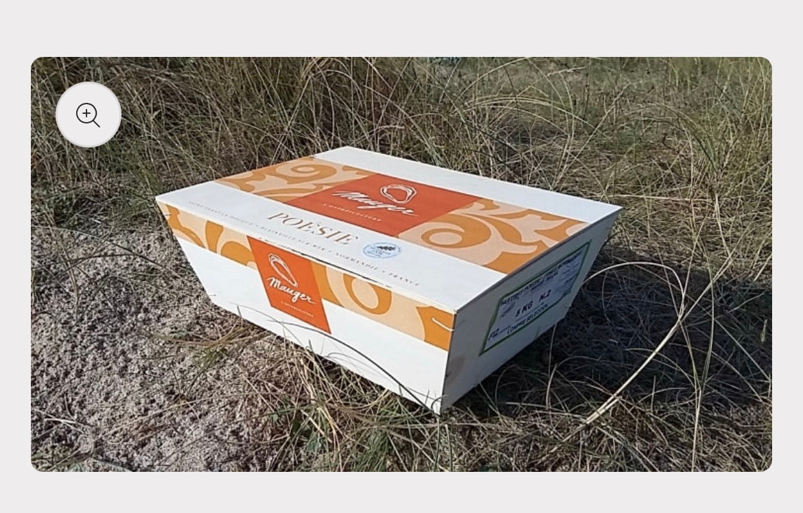 Poésie Oysters | Nr2 Fine | 12 pcs Box