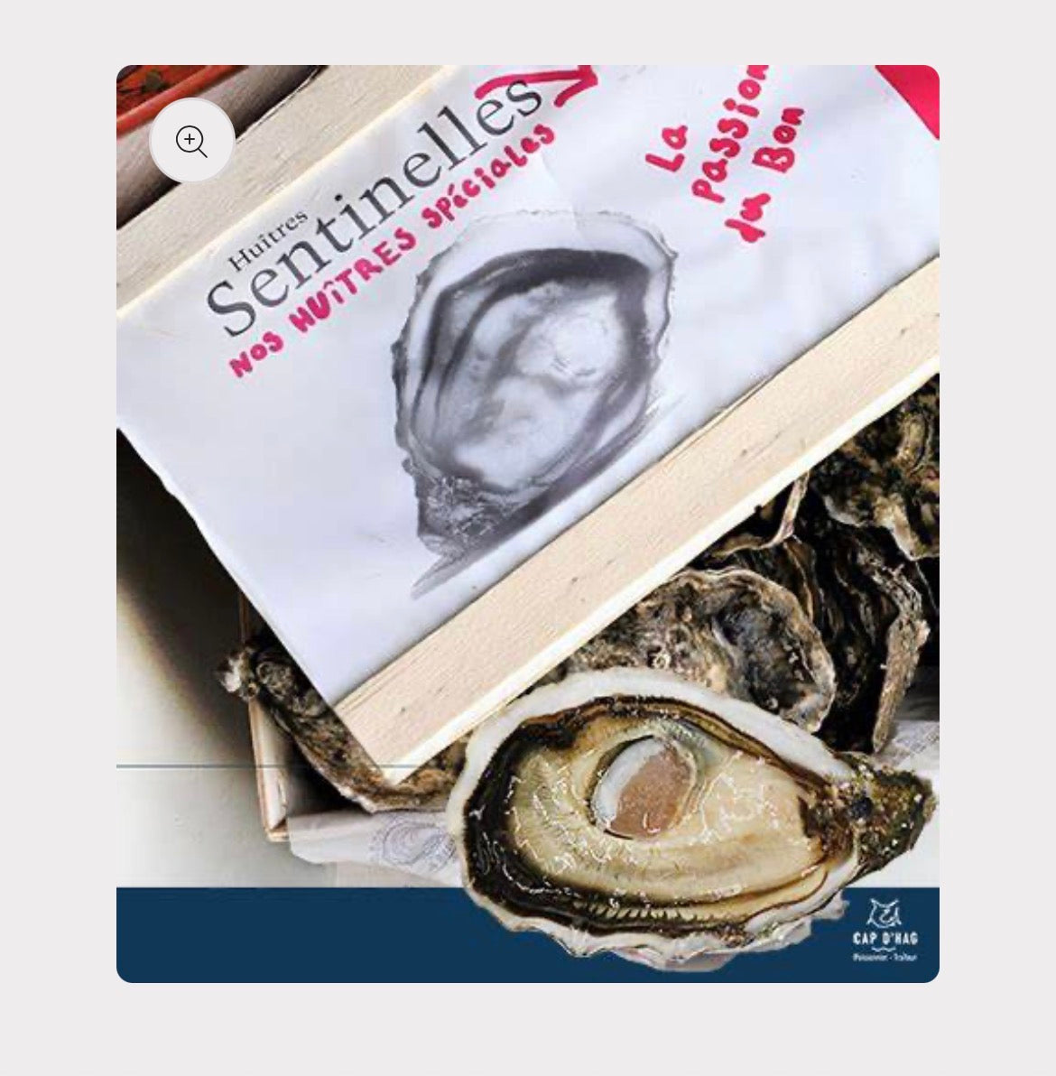 Sentinelle Oysters | Nr2 Spéciale | 12 pcs Box