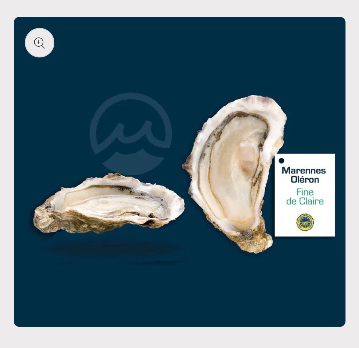 SHELLFISH