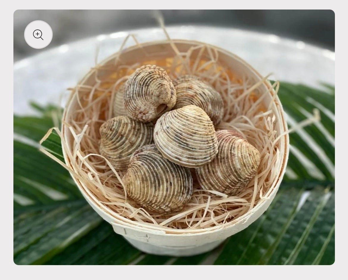 Hard Clams (Kidonia) Venus verrucosa | Fresh Mediterranean Clams | Per ...