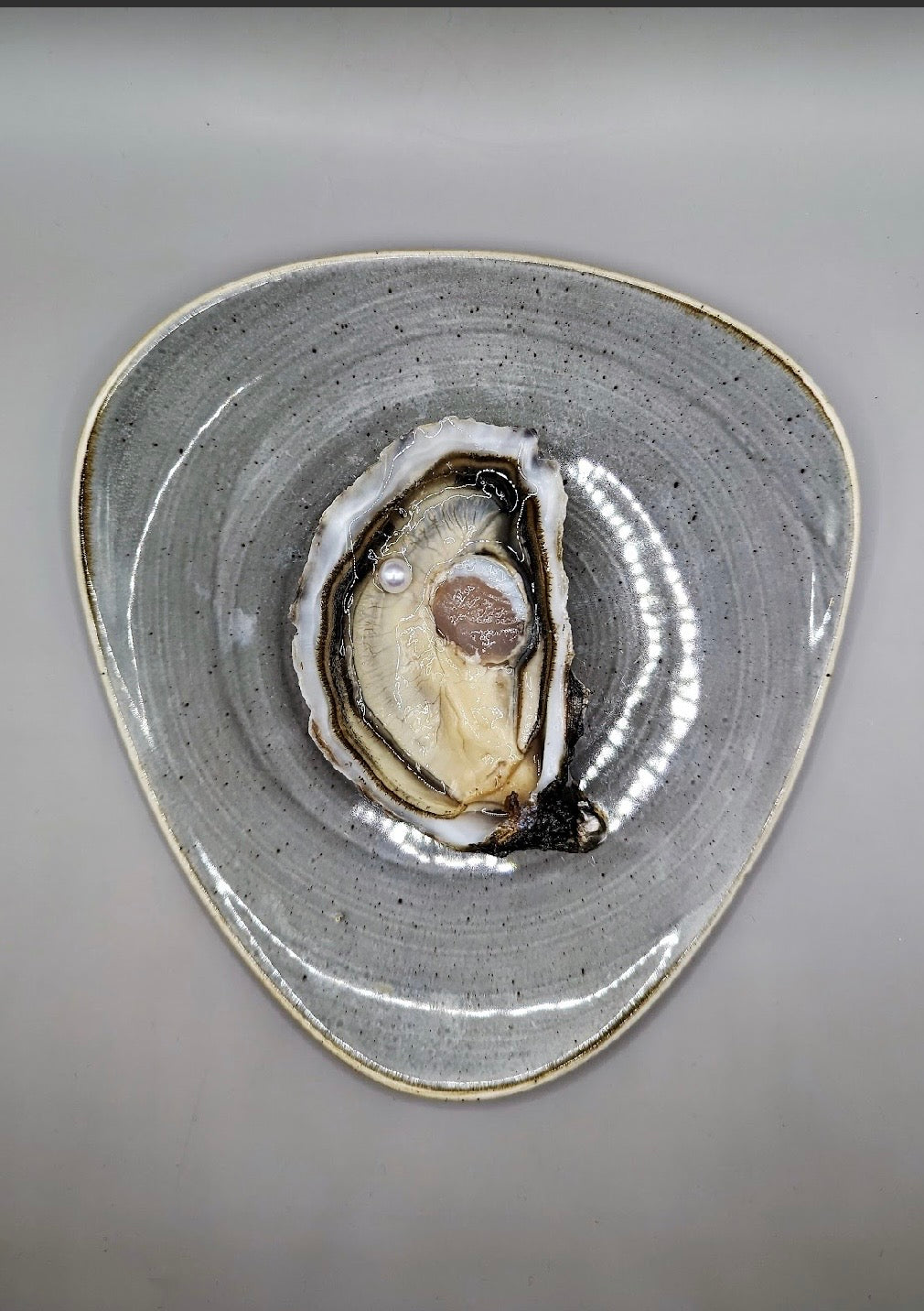 Tarbouriech |Speciale Perlière Nr3 | 1 pc Box