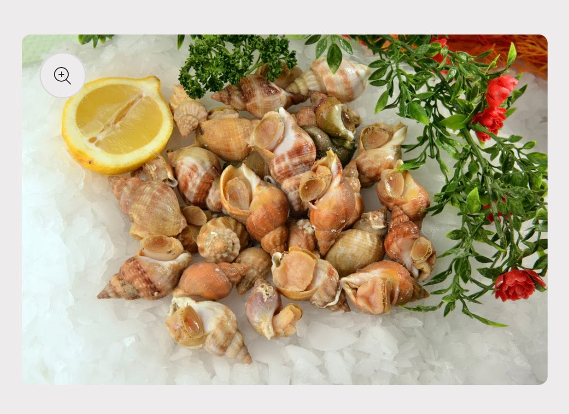 Cooked Whelks (Bulots) 1kg | Ready to Eat | Buccinum undatum – To ...